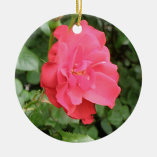 Wild Rose Ornaments