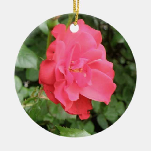 Wild Rose Ornaments (Front)