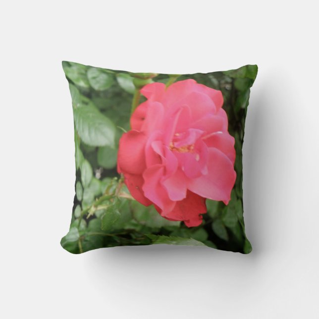 Wild Rose Pillow (Front)