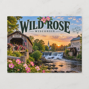 Wild Rose Wisconsin Postcard