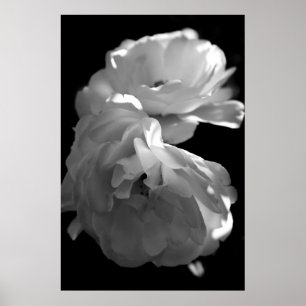 Wild Roses Black and White Floral Photography Poster