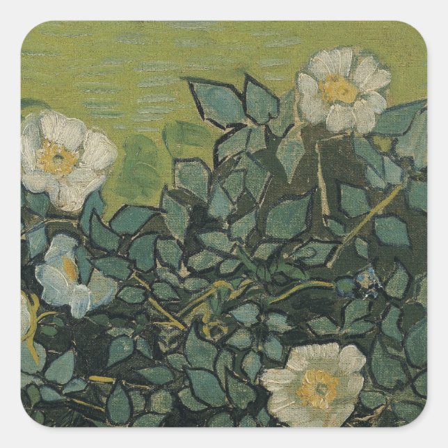 Wild Roses by Vincent van Gogh Square Sticker (Front)