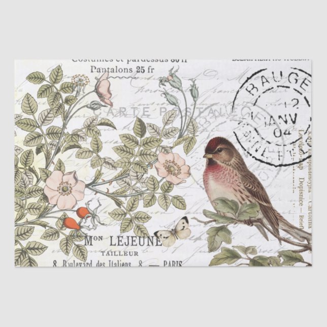 Wild Roses Carte Postale Songbird French Script Tissue Paper (Front)