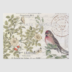 Wild Roses Carte Postale Songbird French Script  Tissue Paper