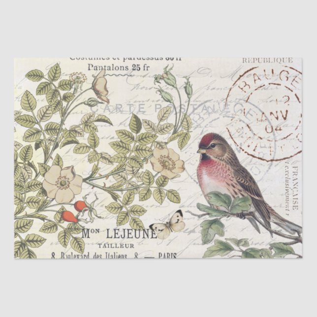 Wild Roses Carte Postale Songbird French Script  Tissue Paper (Front)