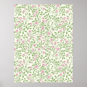 Wild roses  poster