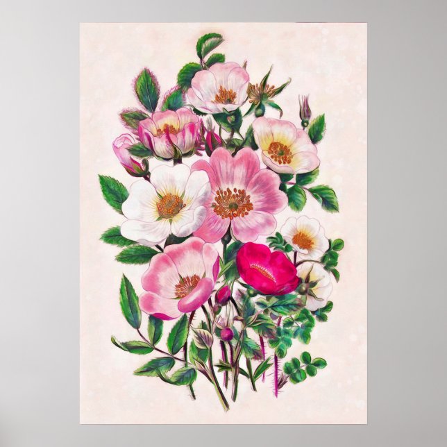 Wild Roses Poster (Front)