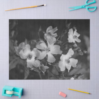 Wild roses tissue paper