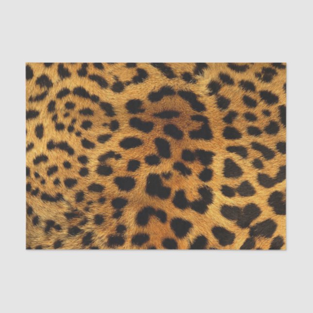 wild Safari animal cheetah girly leopard print Tissue Paper (Front)