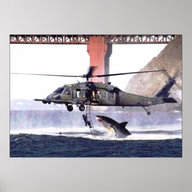 Wild Shark Poster (Front)