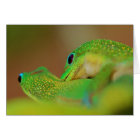 Wild Side Lighthearted Romantic Fun