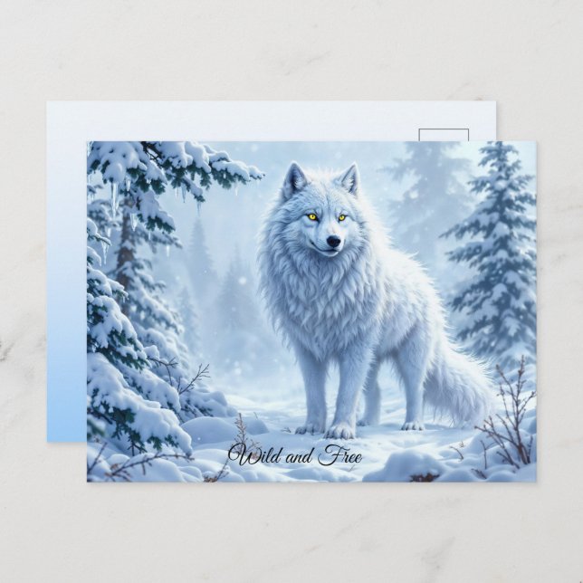 Wild snow wolf predator nature winter art postcard (Front/Back)