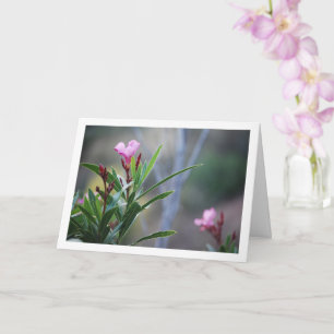 Wild Spanish Nerium Oleander Plant Card