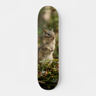 Wild Squirrel Alert Skateboard