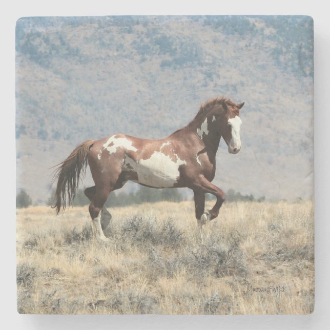 Wild Stallion Coaster (Front)