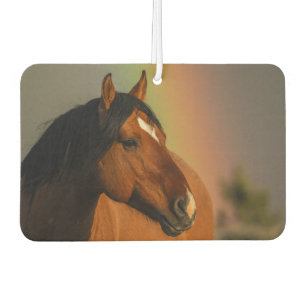 Wild Stallion, Golden Light and Rainbow Car Air Freshener
