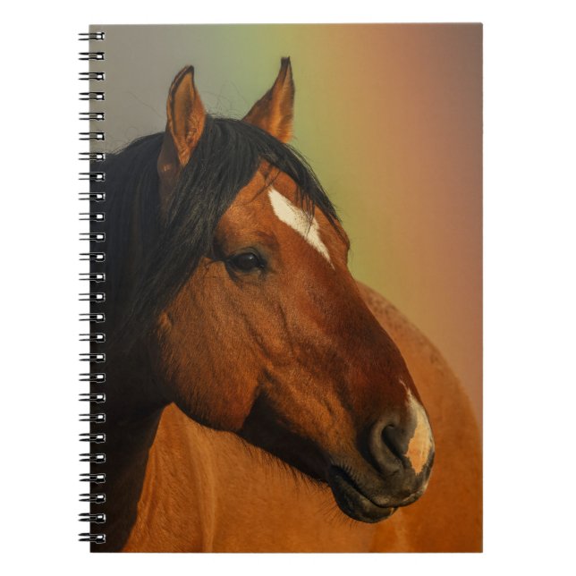 Wild Stallion, Golden Light and Rainbow Notebook (Front)