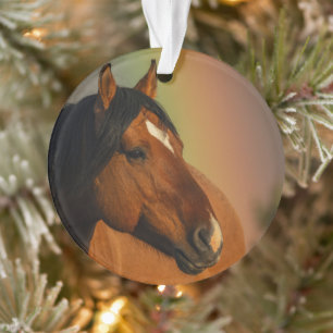 Wild Stallion, Golden Light and Rainbow Ornament