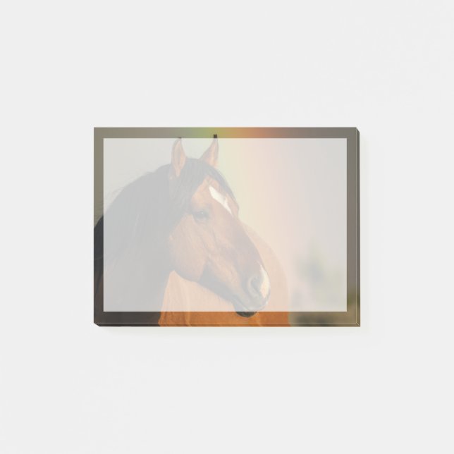 Wild Stallion, Golden Light and Rainbow Post-it Notes (Front)