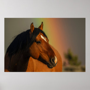 Wild Stallion, Golden Light and Rainbow Poster