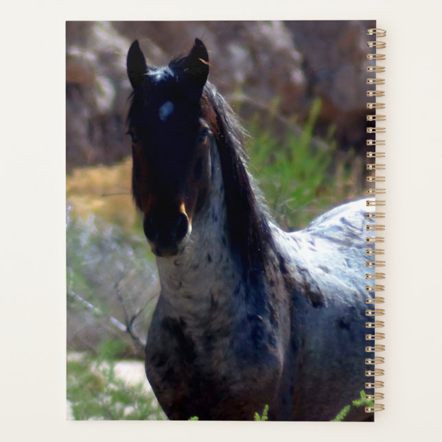 Wild Stallion in Utah Planner (Back)