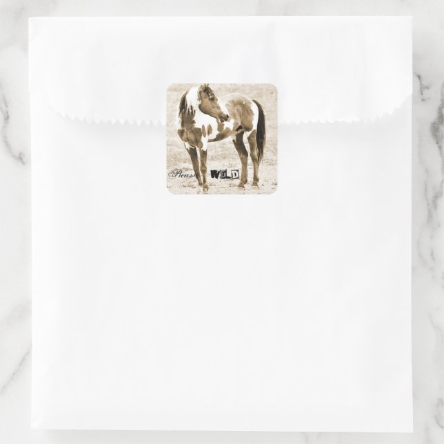 Wild Stallion Picasso Paint Horse Western Stickers (Bag)