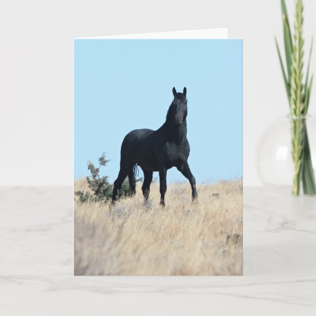 Wild Stallion Voodoo Greeting Card  (Front)