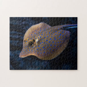 Wild Stingray Fish Sea Ocean Species Creatures Jigsaw Puzzle