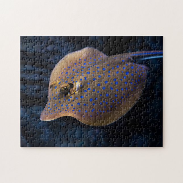Wild Stingray Fish Sea Ocean Species Creatures Jigsaw Puzzle (Horizontal)