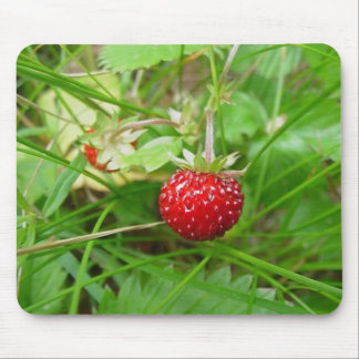 Wild Strawberry 1 Mouse Mat