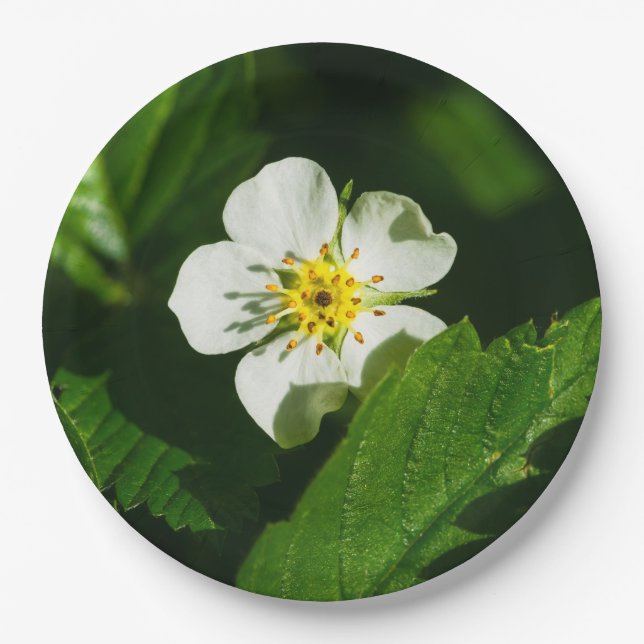 Wild Strawberry Flower Paper Plate (Front)