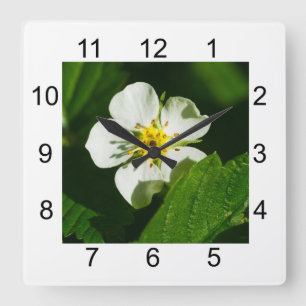 Wild Strawberry Flower Square Wall Clock