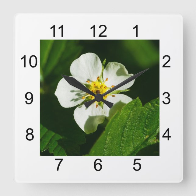Wild Strawberry Flower Square Wall Clock (Front)