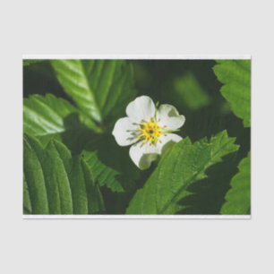 Wild Strawberry Flower Tissue Paper