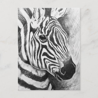 Wild Stripes Postcard