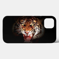 Wild Sumatran Tiger