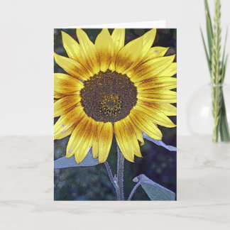 Wild Sunflower Card