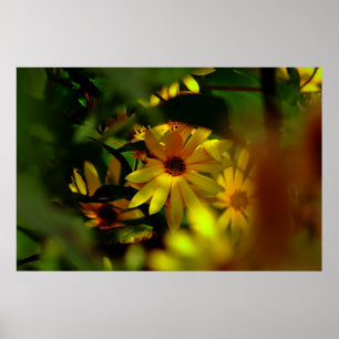 Wild Sunflower Poster