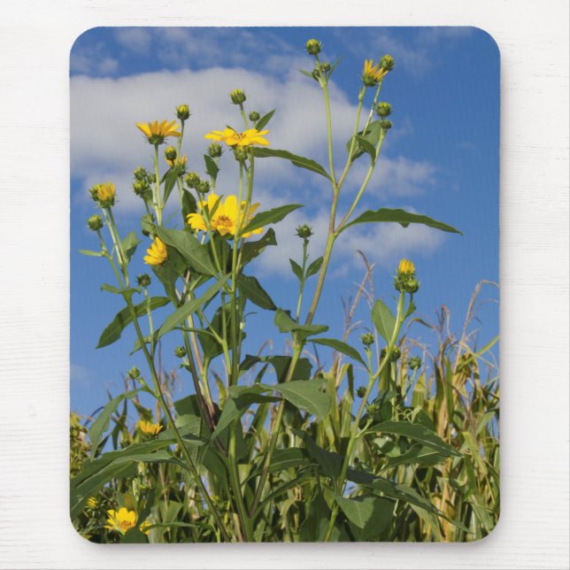 Wild Sunflowers Floral Flower Nature Photography Mouse Mat (Front)