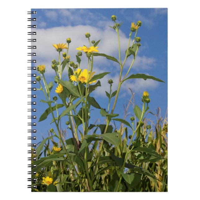 Wild Sunflowers Floral Flower Photography Notebook (Front)