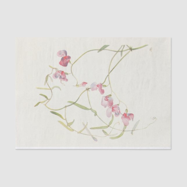 Wild Sweet Pea by Margaret Armstrong Tissue Paper (Front)