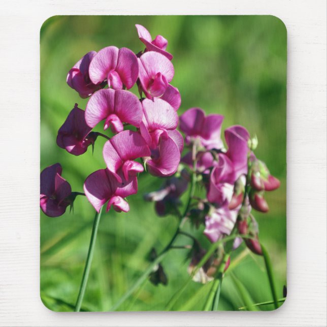 Wild Sweet-pea Flower Mouse Mat (Front)