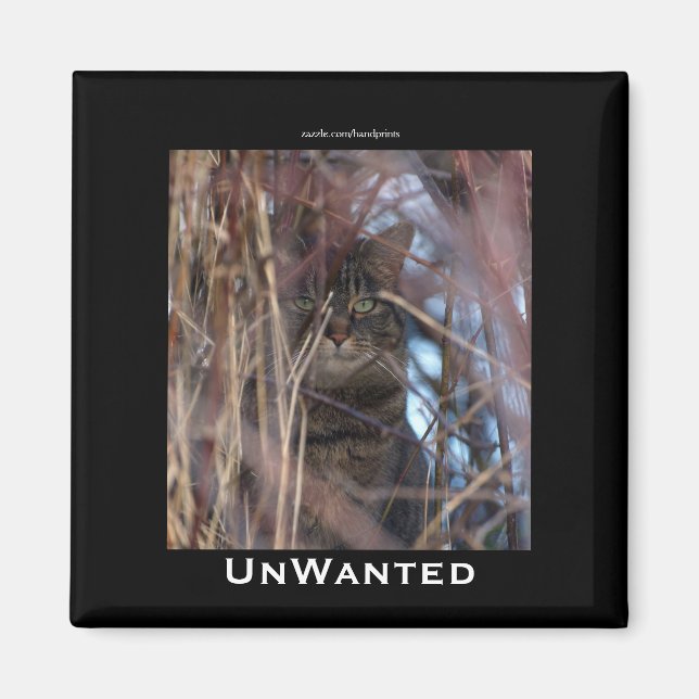 Wild Tabby Cat Demotivational Animal Magnet (Front)