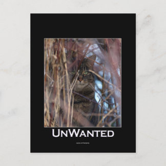Wild Tabby Cat Demotivational Animal Postcard