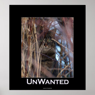 Wild Tabby Cat Demotivational Animal Poster