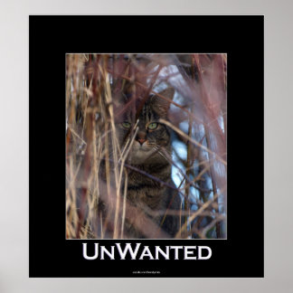 Wild Tabby Cat Demotivational Animal Poster