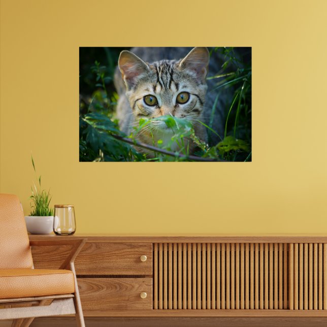 Wild Tabby Cat in Grass Wrapping Paper — Nature Poster (Living Room 2)