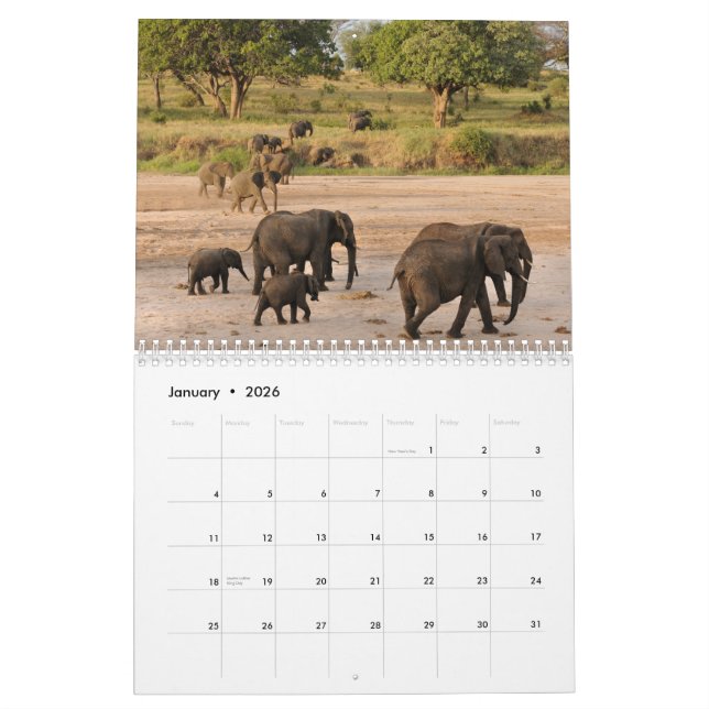 Wild Tanzania Calendar (Jan 2026)