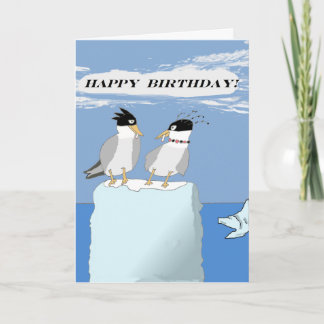Wild Terns -- Happy Birthday Card
