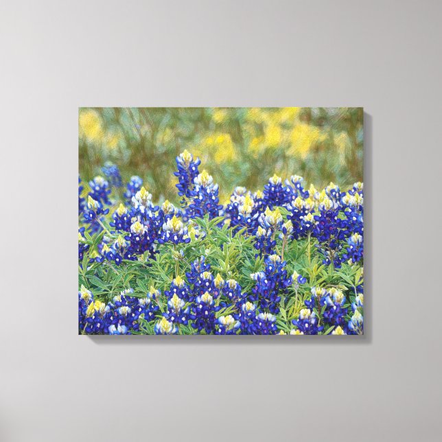 Wild Texas Bluebonnet Flowers Canvas Art Print (Front)